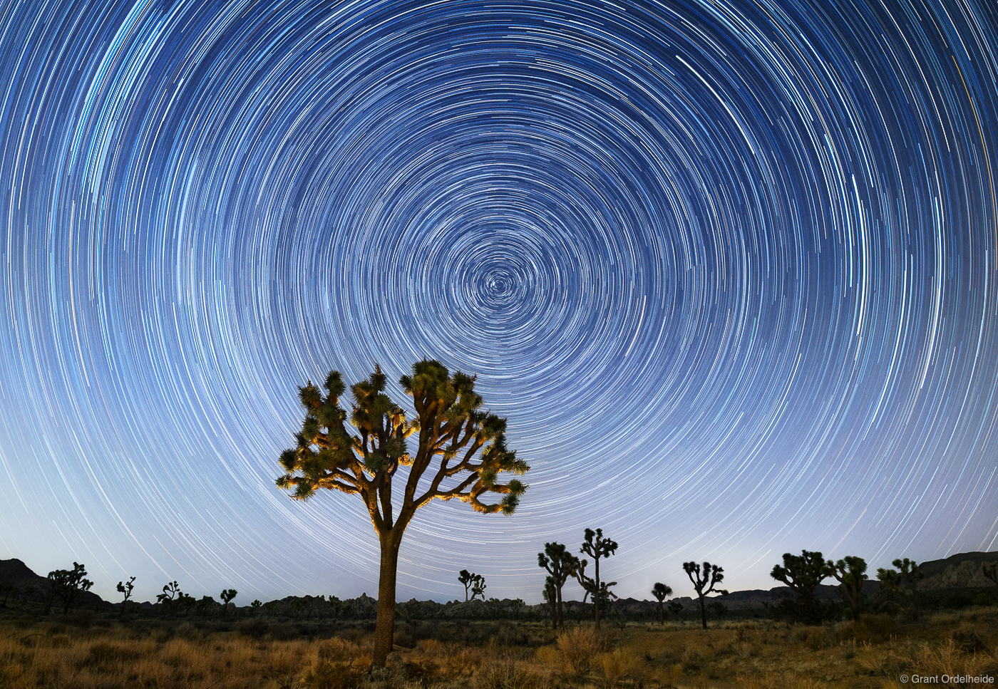 Joshua Tree Star Trails Joshua Tree National Park California Grant